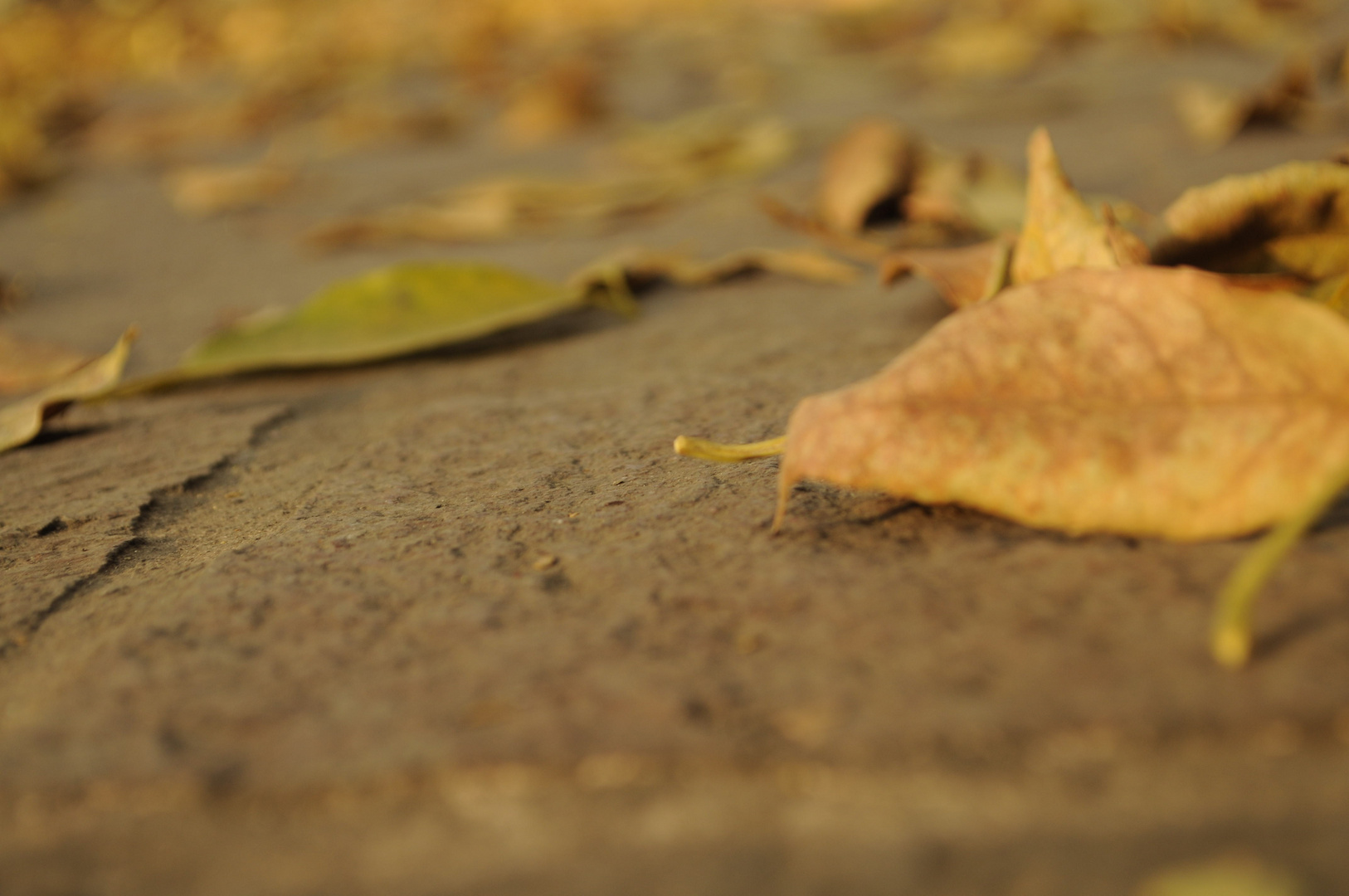 En otoño