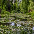 En passant chez Claude Monet