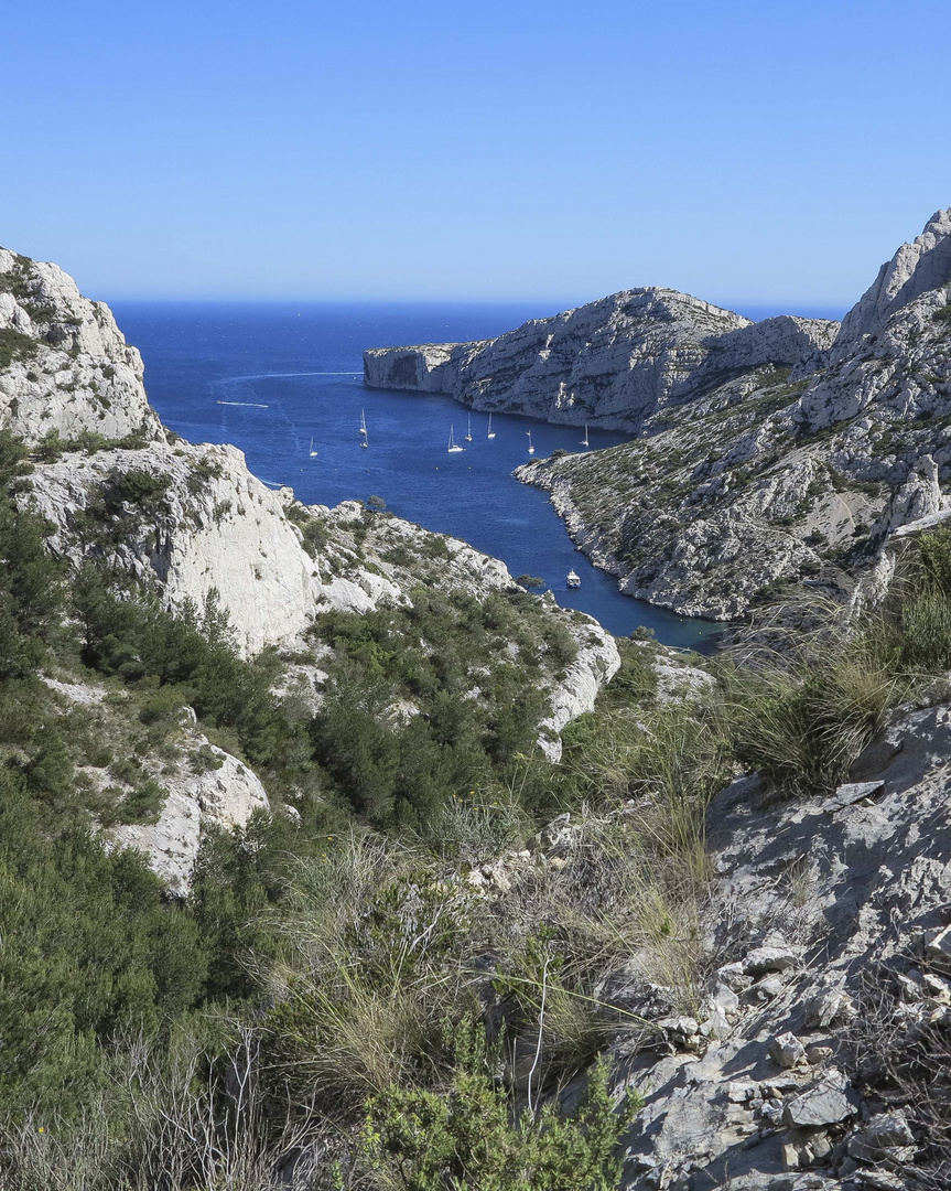 en passant dans les calanques de Marseille Vert