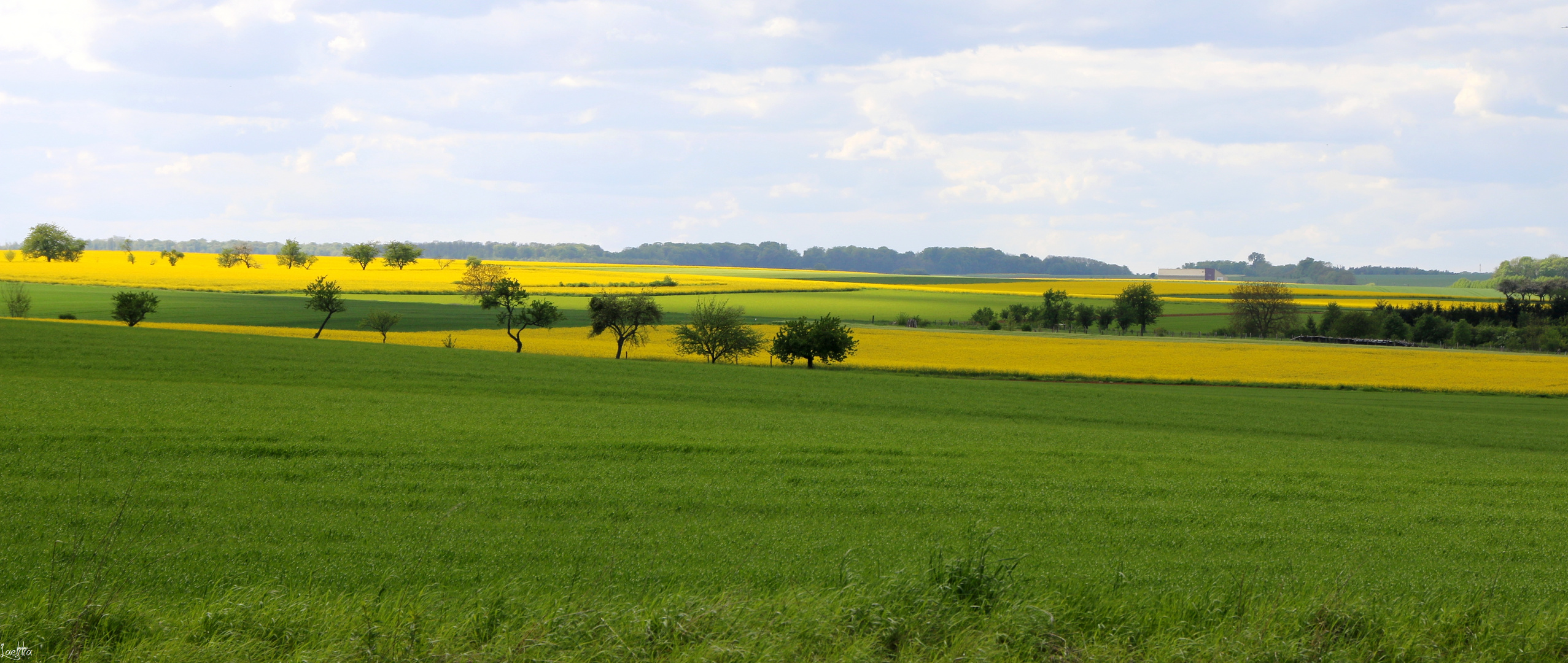 En passant par la Lorraine (2)