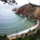 En Playa del Silencio, Asturias.