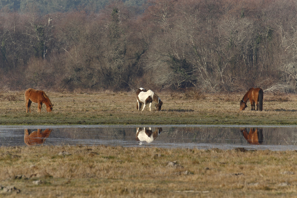 En pleine nature !!!