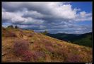 En pleine nature by Julian en voyage 