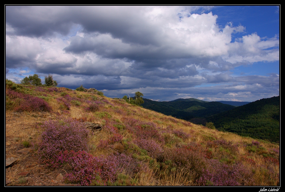 En pleine nature