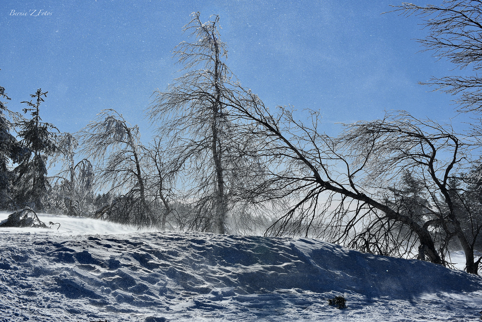 En pleine tempête