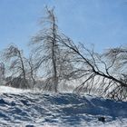 En pleine tempête