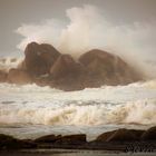 En pleine tempête 2016