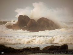 En pleine tempête 2016