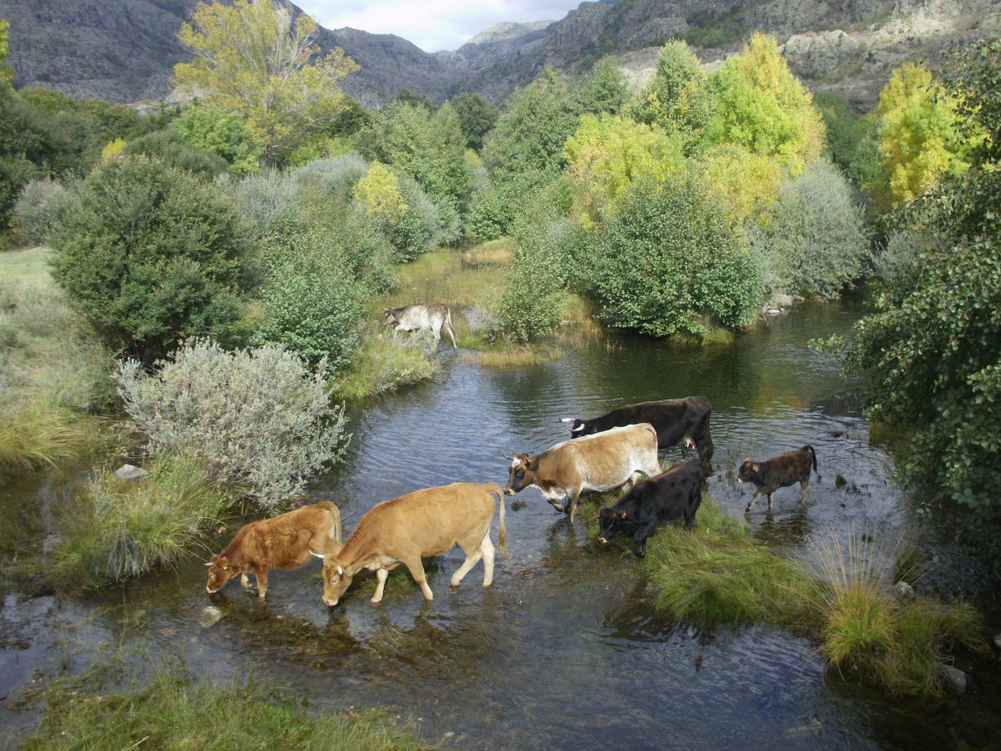 en plena naturaleza