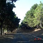 En pleno mes de Agosto por El Hierro