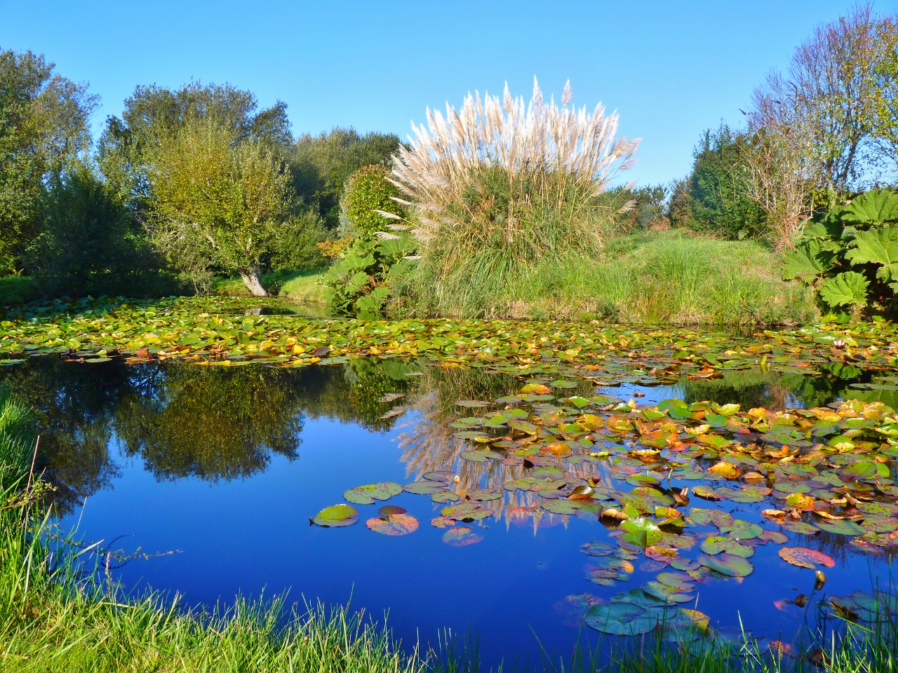 en poursuivant la randonnée du côté de Plouharnel (Morbihan), petit plan d'eau