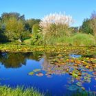 en poursuivant la randonnée du côté de Plouharnel (Morbihan), petit plan d'eau