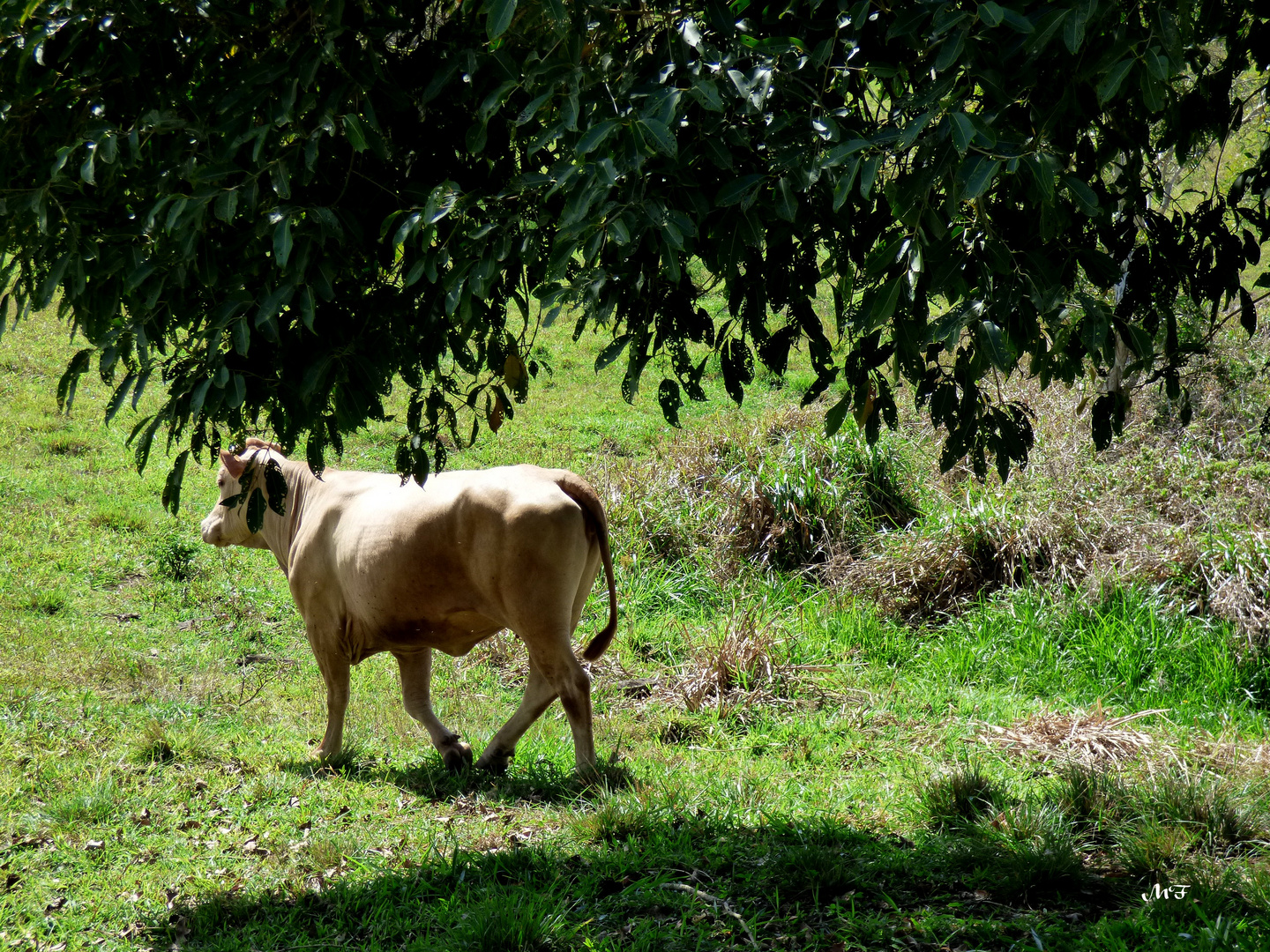 En promenade