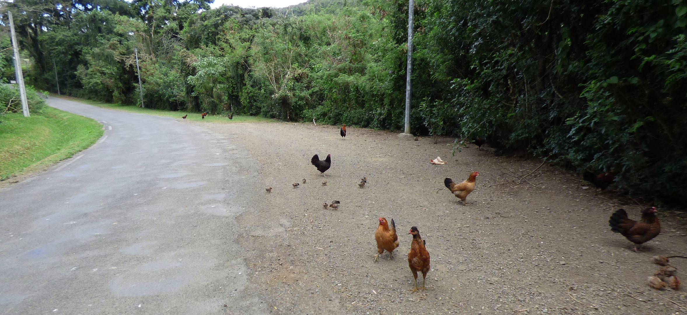 En promenade