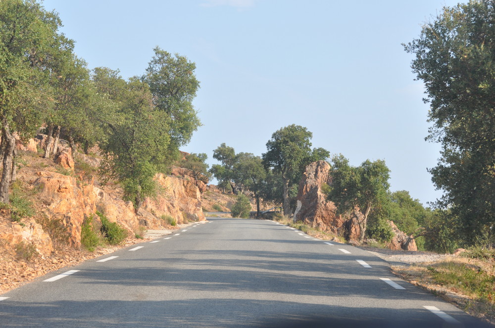 En promenade dans le massif des Maures