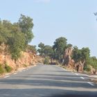 En promenade dans le massif des Maures