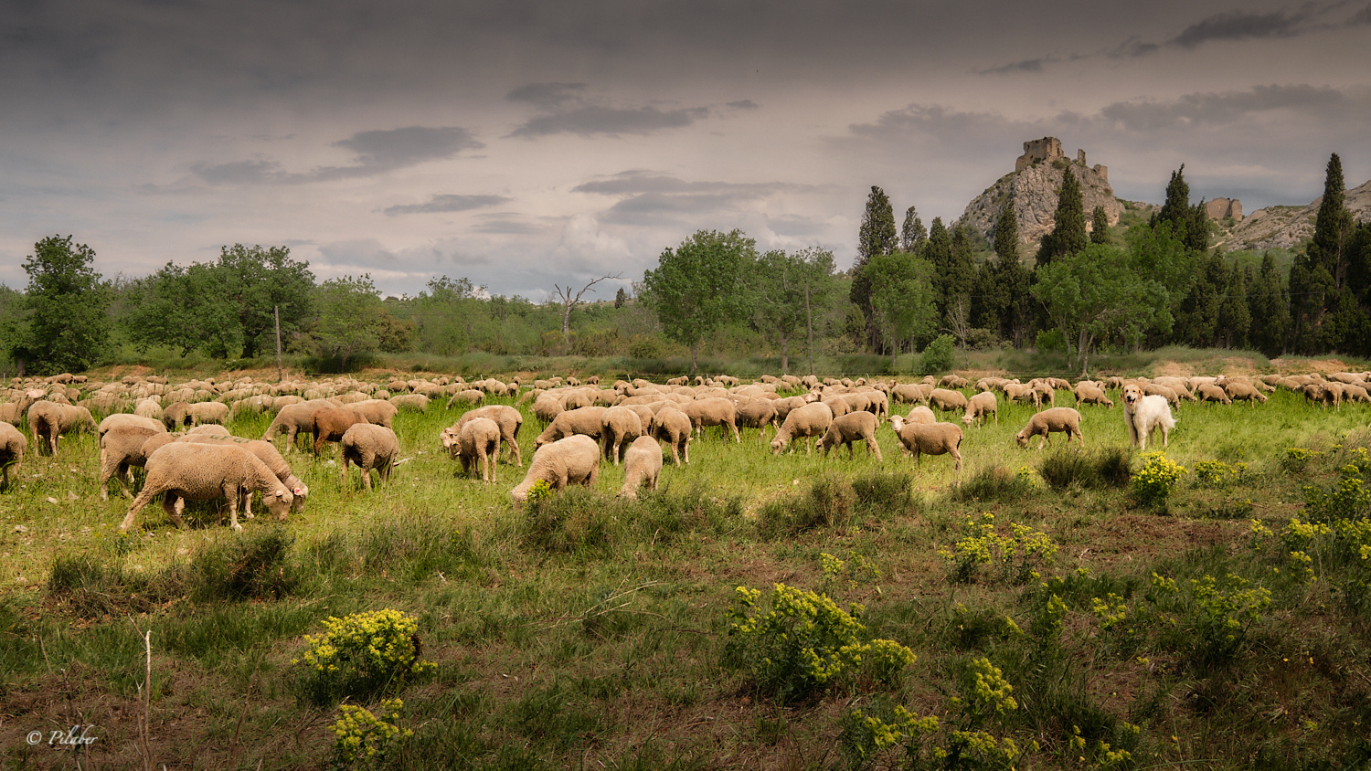 En Provence