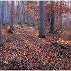 en recuerdo del otoño (zur Erinnerung an den Herbst)