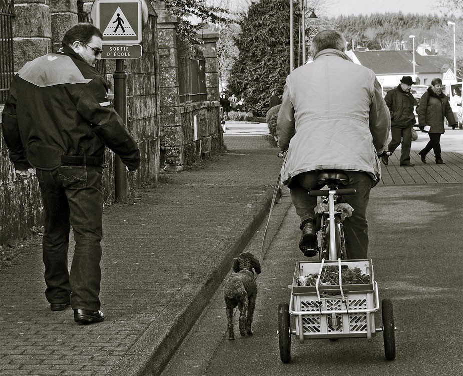 en rentrant du marché