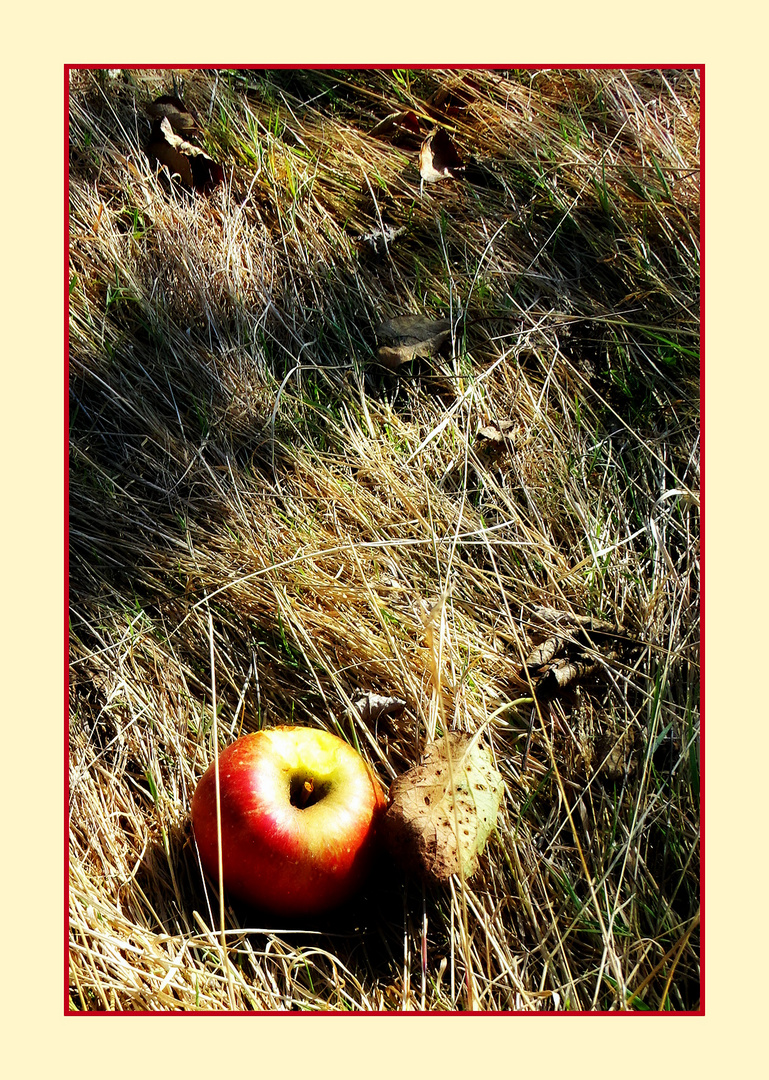 En rouge et jaune