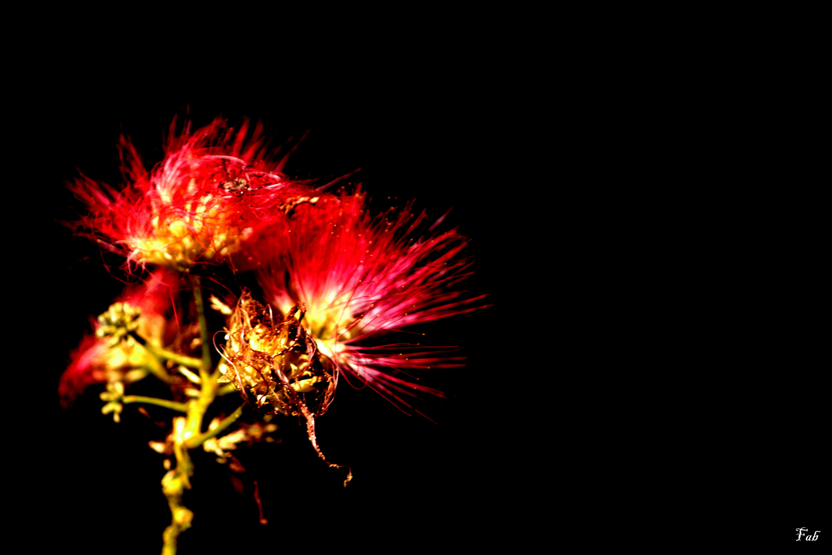 en rouge et noir