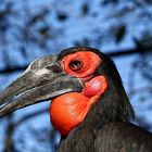 en rouge et noir !