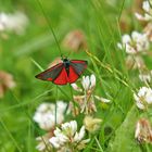 En rouge... et noir ...