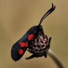 En rouge et noir !