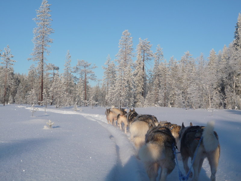 En route en pleine laponie