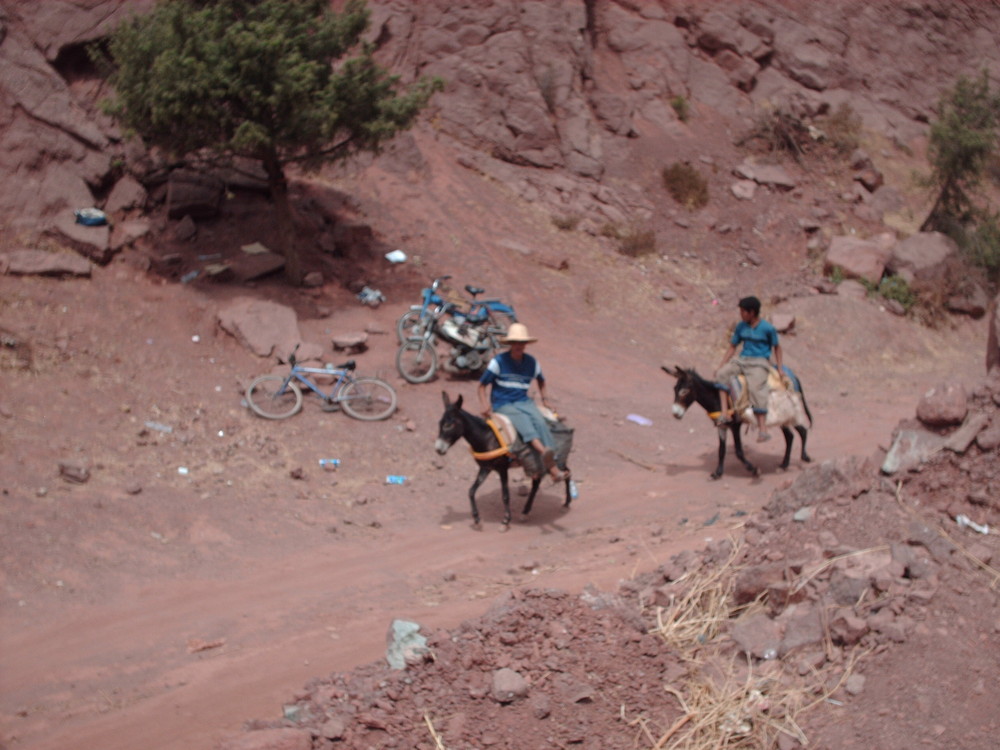 En route pour la Vallée de l'Ourika