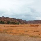 En route pour le désert de Wadi Rum