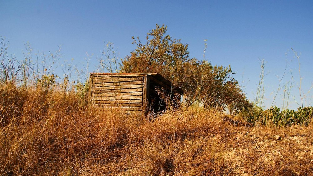 En route pour le passé avec la cabane en bois de notre enfance !!!