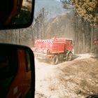 En route pour une journée dans la forêt corse.