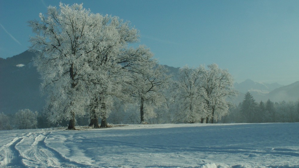 En route vers le Mont Blanc