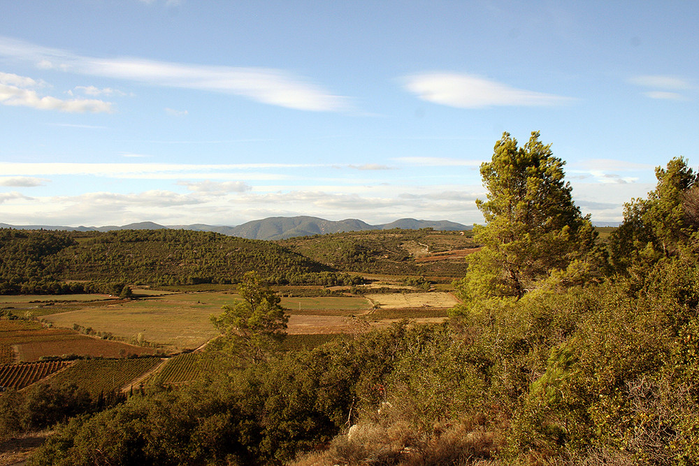 En route vers Roquebrun ( Hérault )