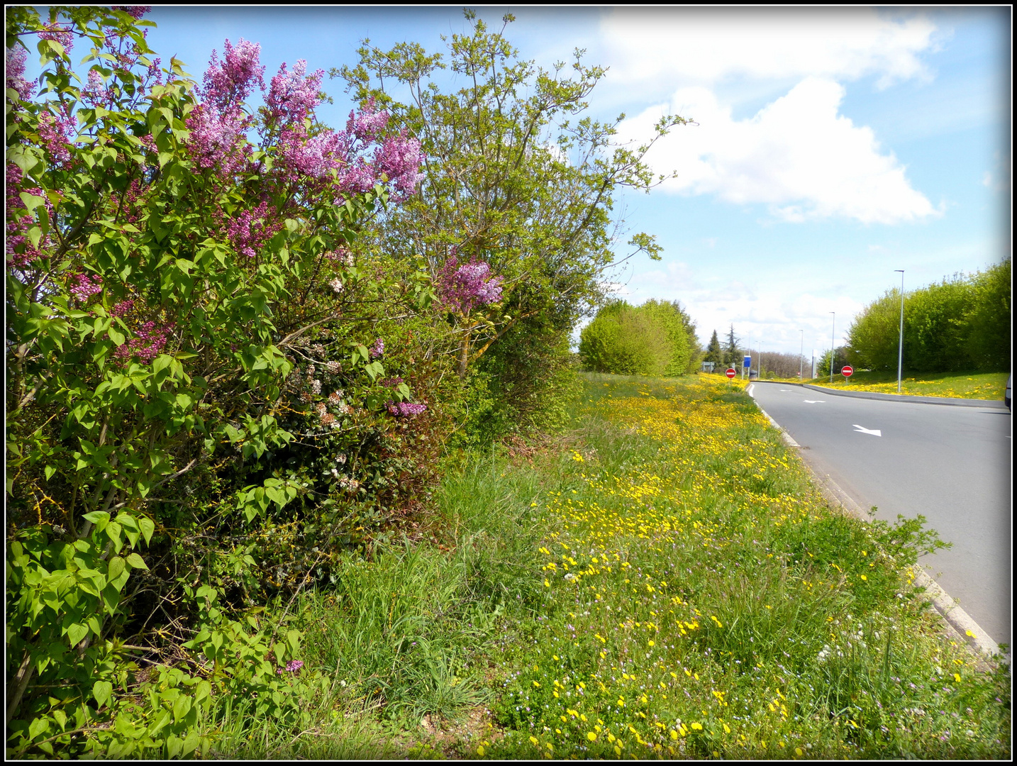 En route vers Toulouse - 17-04-2023