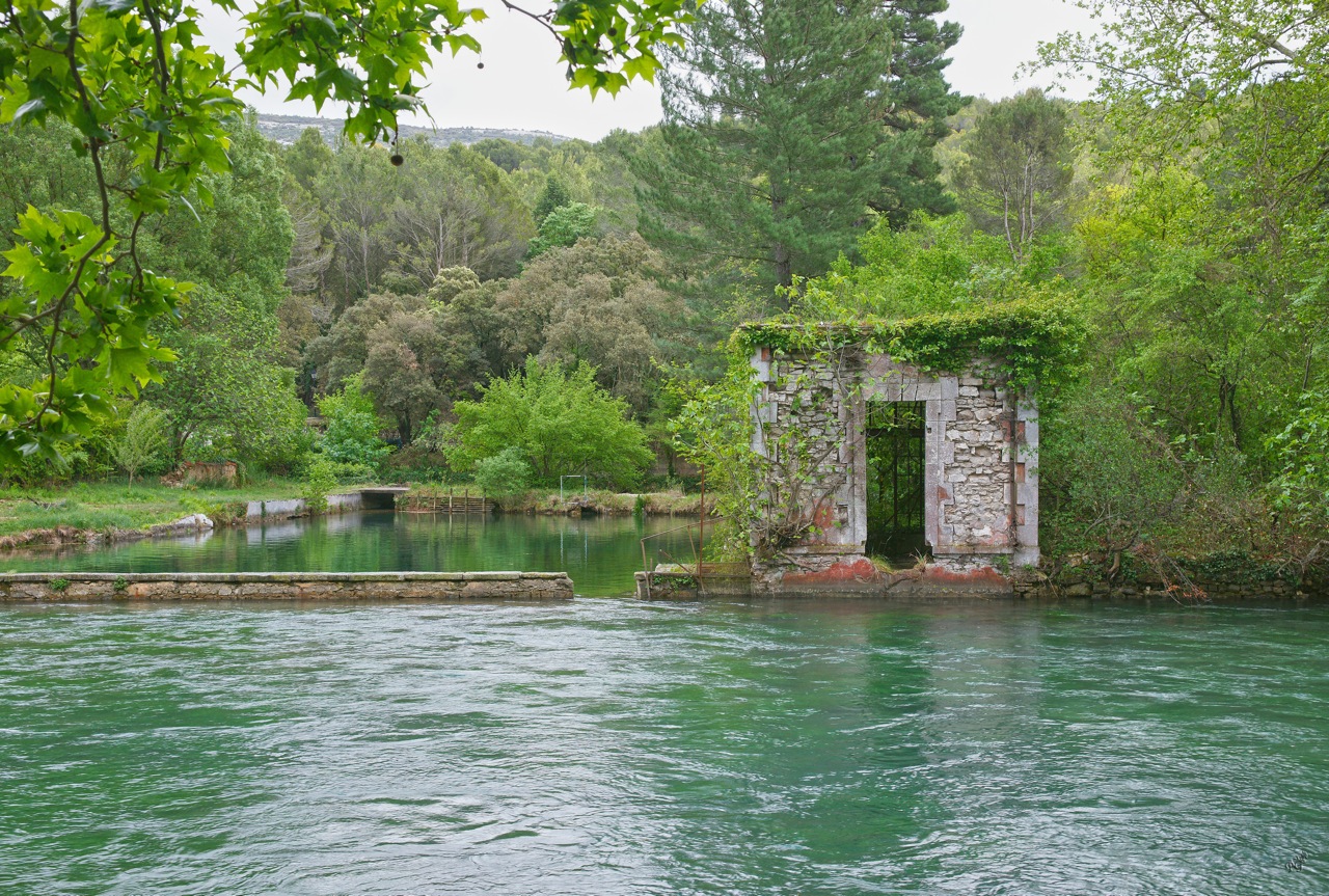 En ruine .. et la nature reprend ses droits