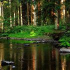 En se promenant dans les bois ...