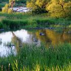 En soirée aux rapides de Lachine près de Montréal