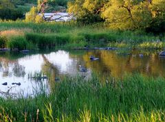 En soirée aux rapides de Lachine près de Montréal