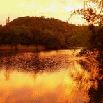 En soirée sur la rivière