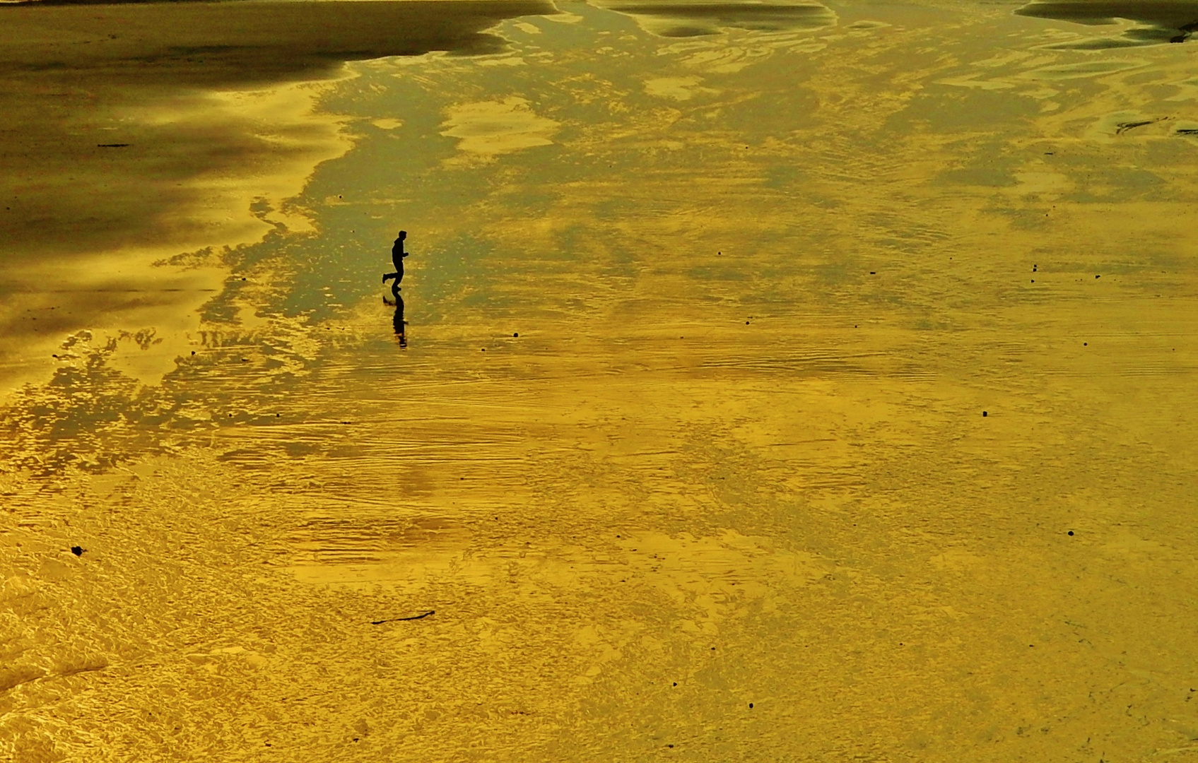 En solitaire sur la plage du Portel