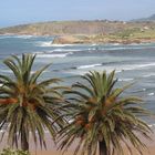 ¡¡¡En todas las cosas de la naturaleza hay algo maravilloso.” Aristóteles