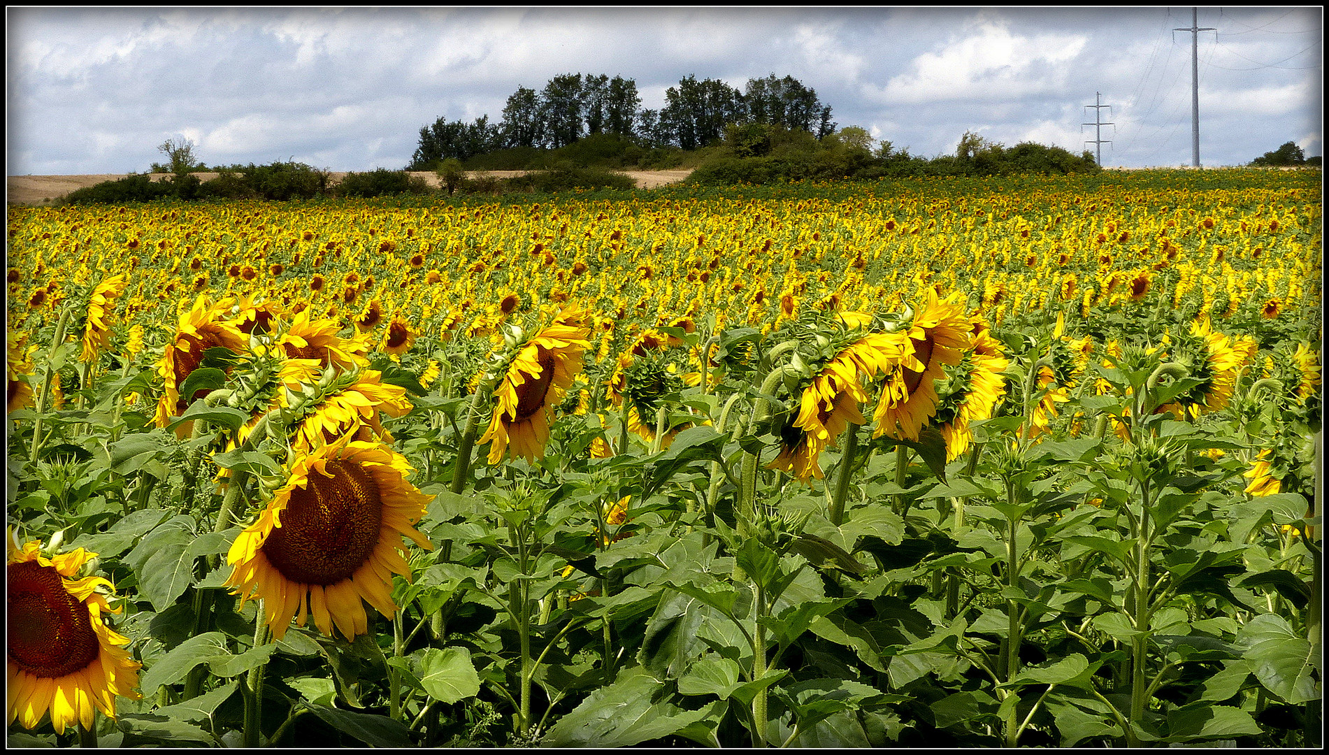 En TOURAINE 