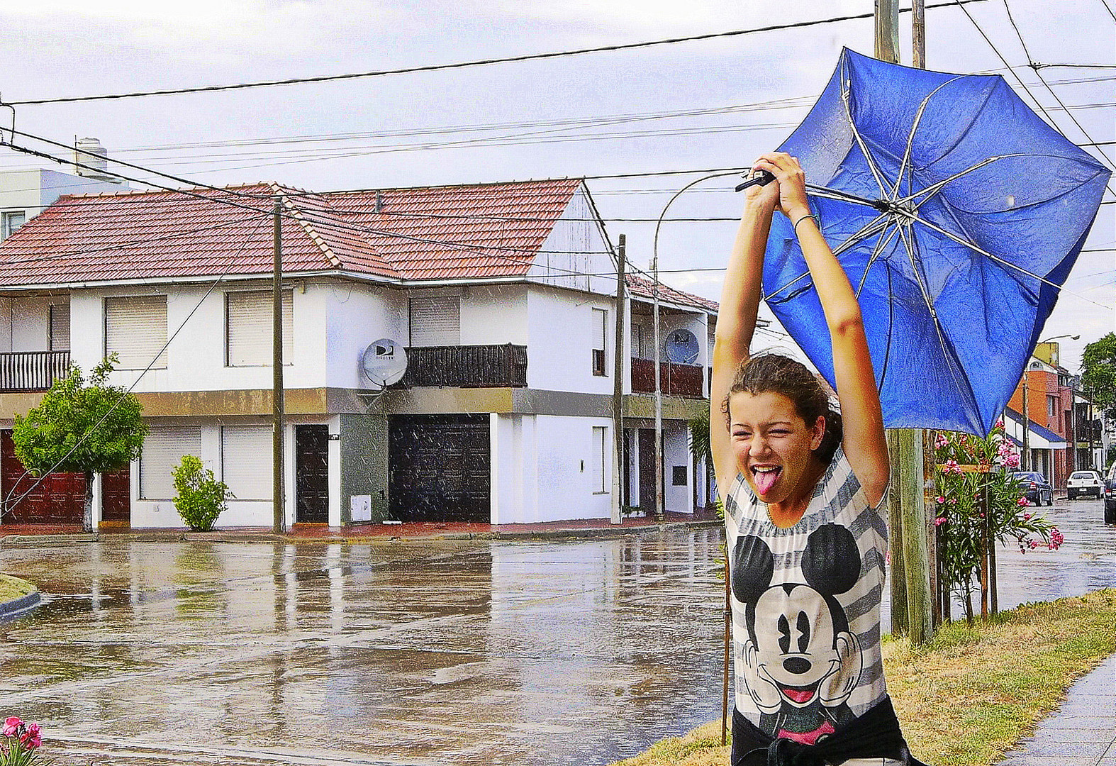 EN UN DIA DE VIENTO Y LLUVIA