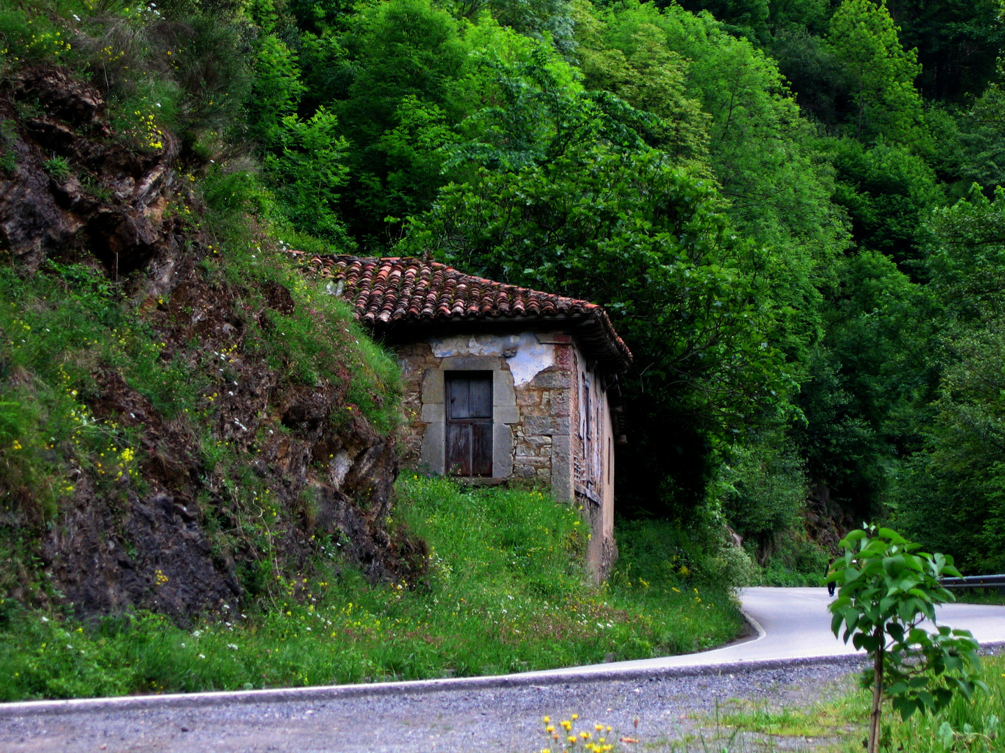 En un recodo del camino