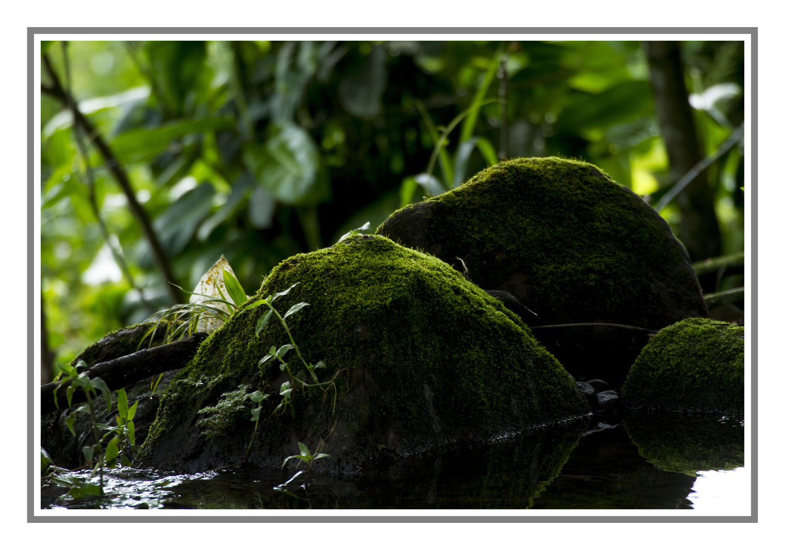 En un rincón del río