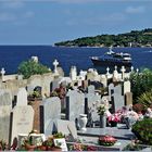  en vacances éternellement ....à st tropez!