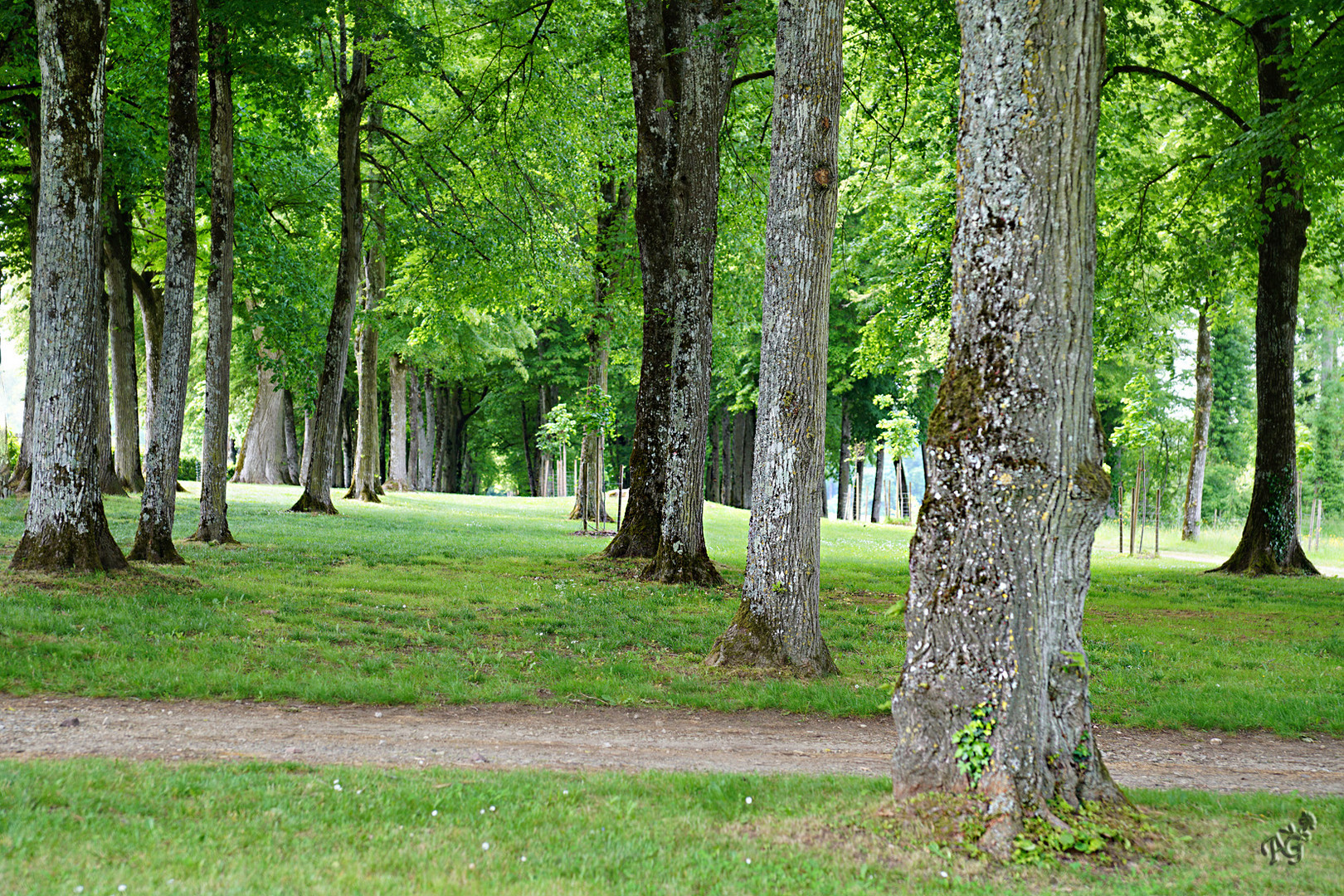 En vert .... le parc de Sourches