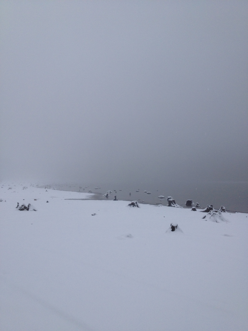 Encerclé de brume et de neige